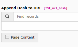 Screenshot from Append Hash to URL function